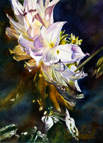Dahlia Jewel, Watercolor Painting by Elaine Frenett