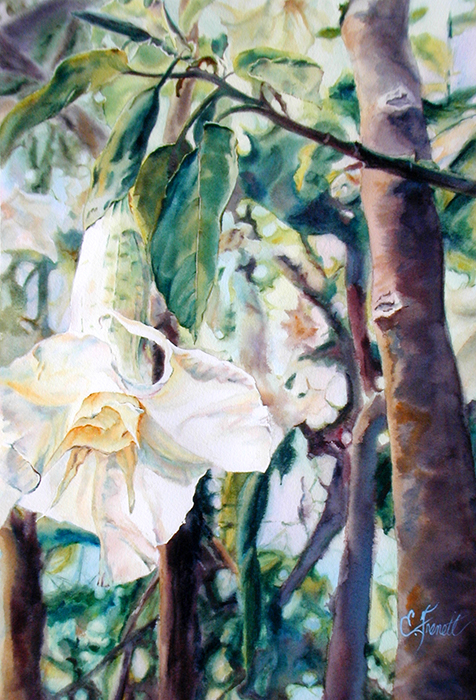 July in the Garden, Watercolor Painting by Elaine Frenett