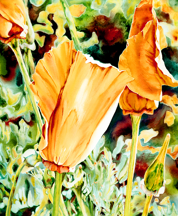 Morning Poppies, Watercolor Painting by Elaine Frenett