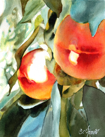 Peaches, by Elaine Frenett