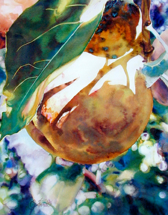 Sunkissed Pear, by Elaine Frenett