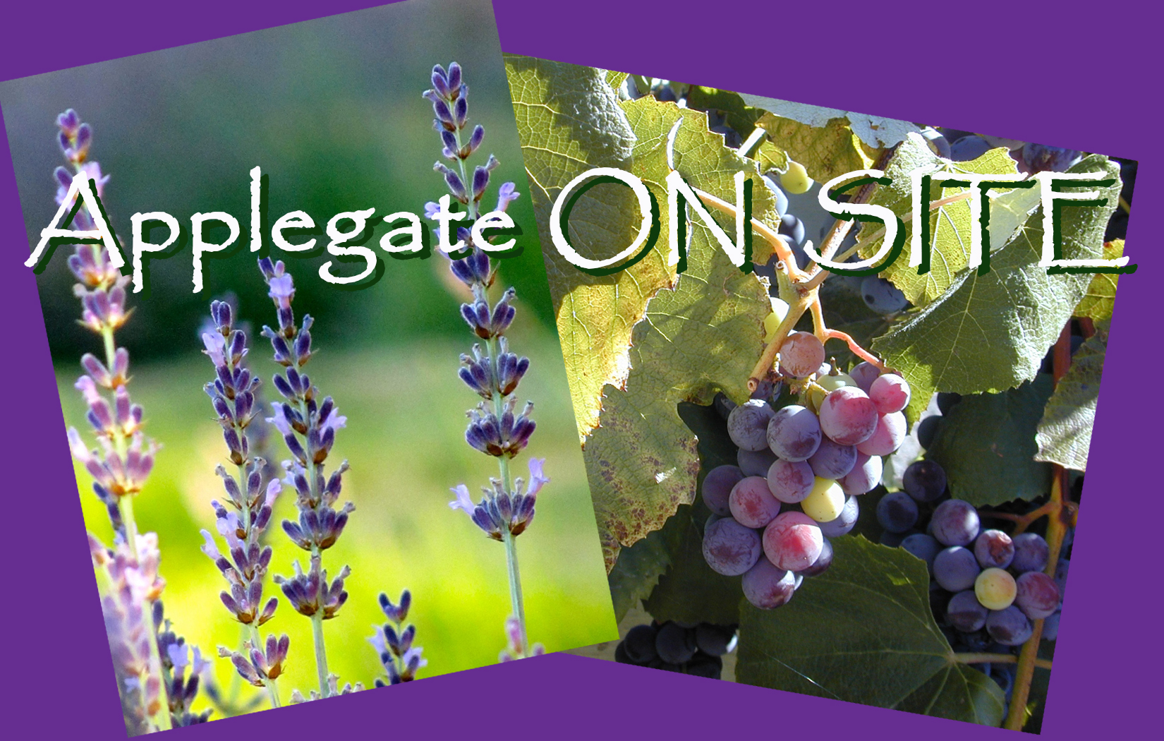 “Applegate On Site” ~ two workshops, two sites & two instructors