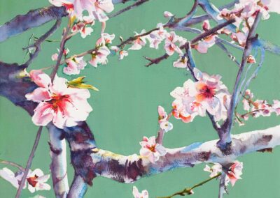 Cherry Blossoms watercolor Elaine Frenett